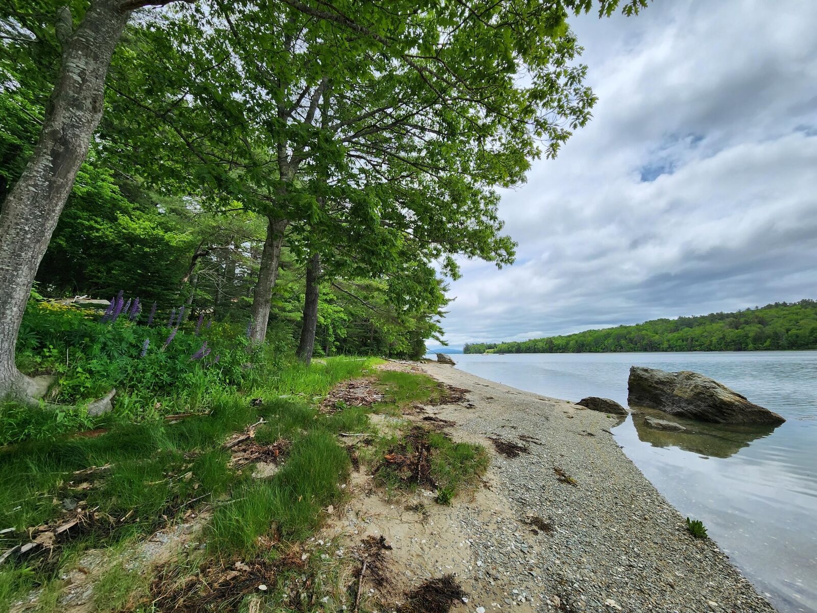 Property Photo:  1118 Surry Road  ME 04684 