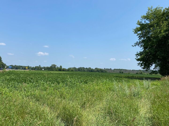 Property Photo:  Tbd Hwy 65 NE  MN 55006 