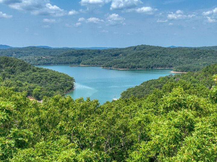 County Road 1531  Eureka Springs AR 72632 photo