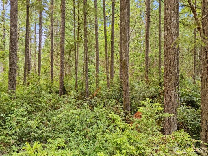 Property Photo:  0 Tr1 E Harstine Island Road N  WA 98584 