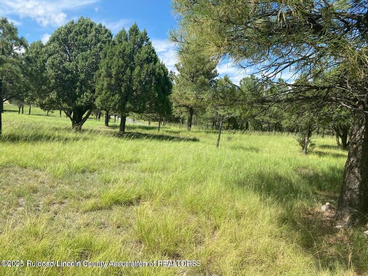 Property Photo:  Lot 3 Block 8  NM 88312 