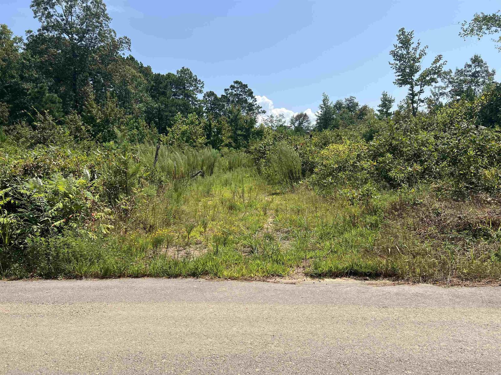 Property Photo: Tbd Green Acres AR 71929