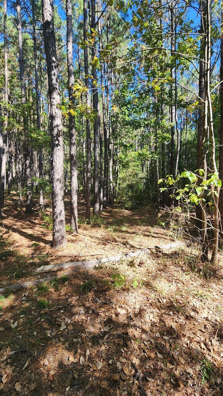 Property Photo: Lot 228 Ranches At Lone Star Ridge TX 75851