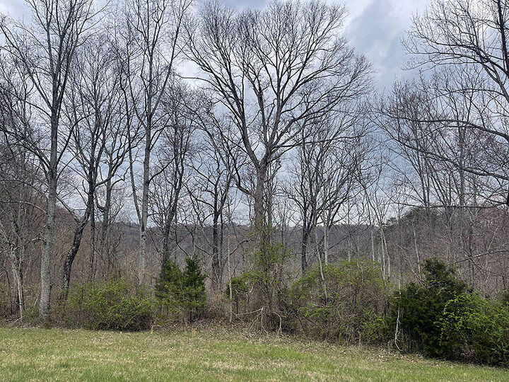 Property Photo:  Lot 92 Stillwater  KY 42642 