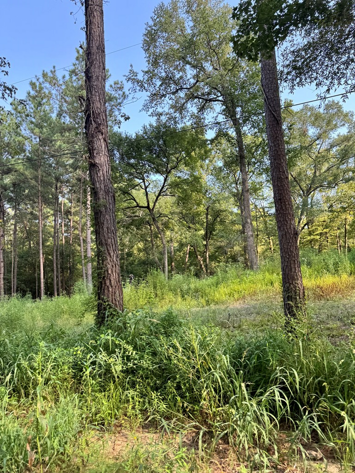 Property Photo: Pt Of 560 McKindree Rd TX 75901