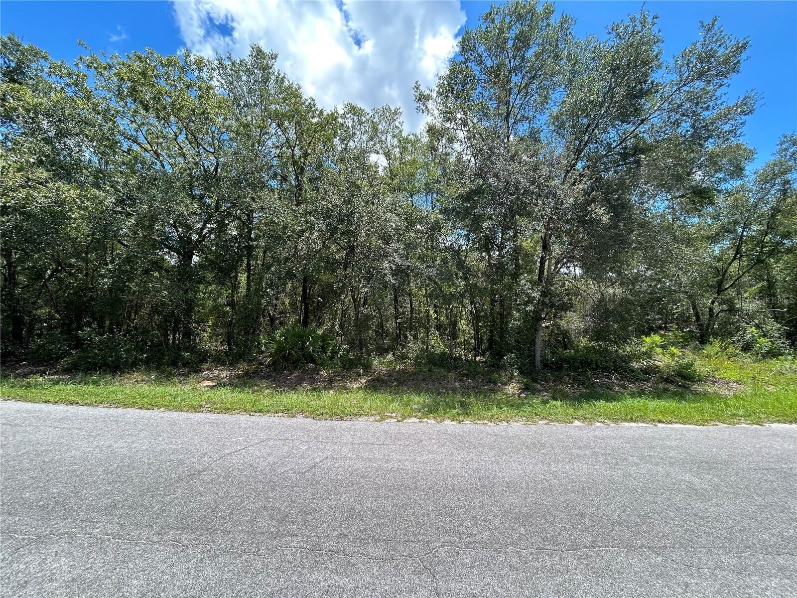 Property Photo:  0 Malauka Radial  FL 32179 