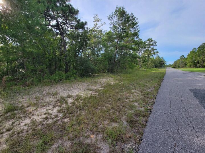 Property Photo: 8676 N Farrington Drive FL 34433