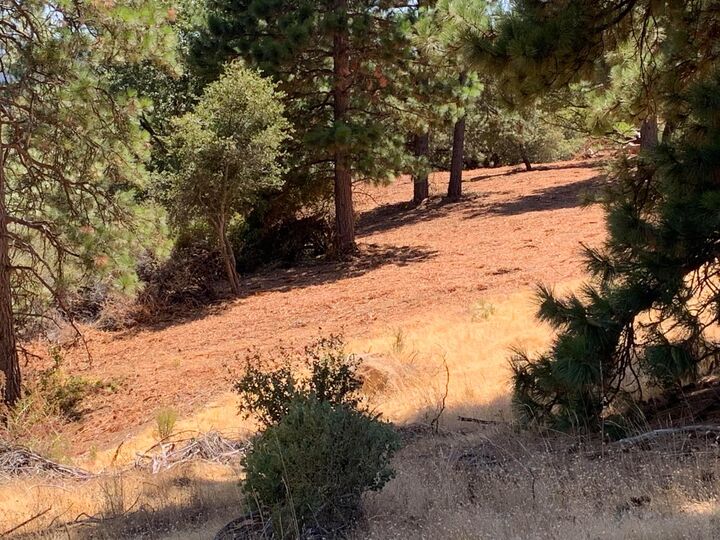 20 Hawkeye Road  Somerset CA 95684 photo