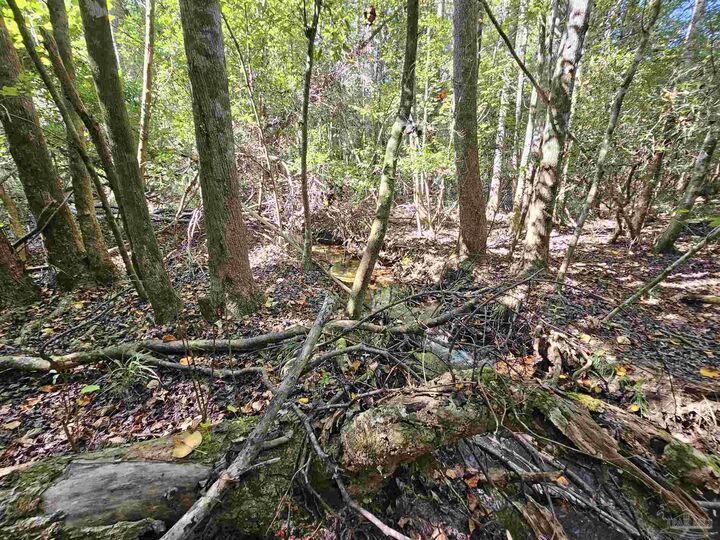 Property Photo:  1130 Oak Ridge Trl  FL 32533 