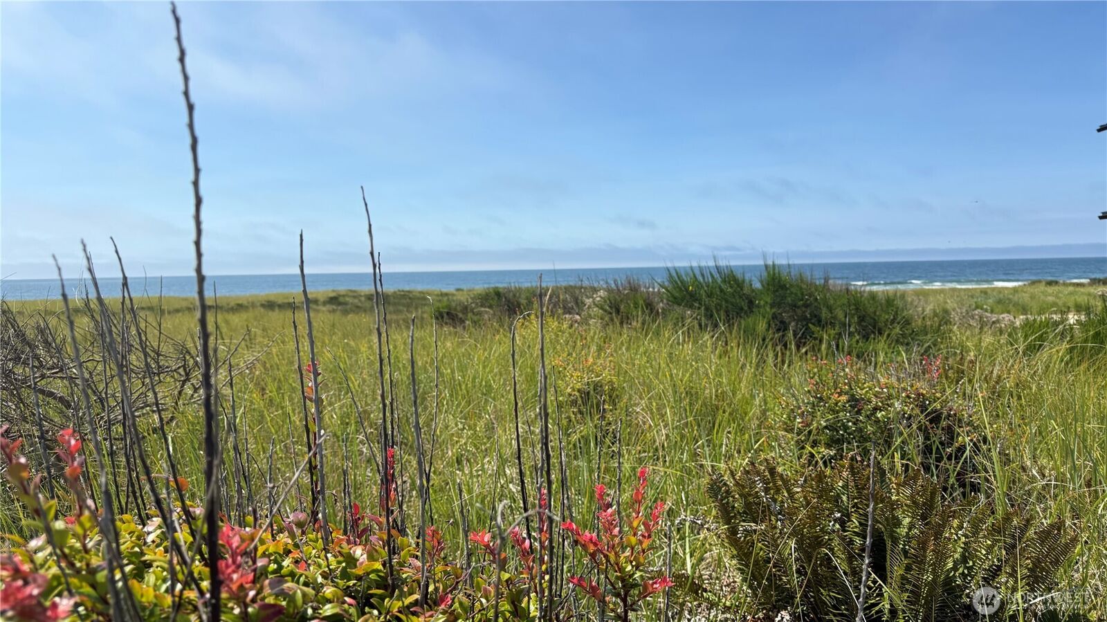 Property Photo:  615  Dune Crest Loop  WA 98595 