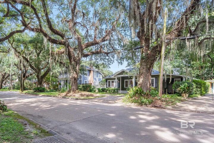 Property Photo:  254 Park Avenue  AL 36607 