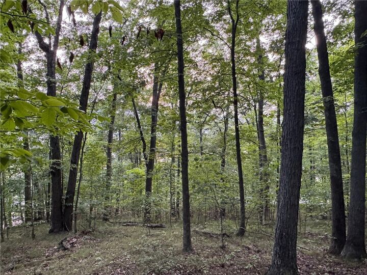 Property Photo: St Rt 54 NY 14840