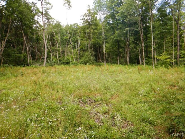 Property Photo: Chaffee Creek Road NY 14867
