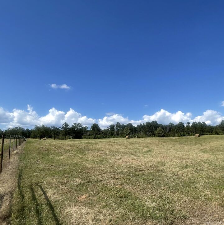 Property Photo: 00 Bailey Branch Rd AR 72824