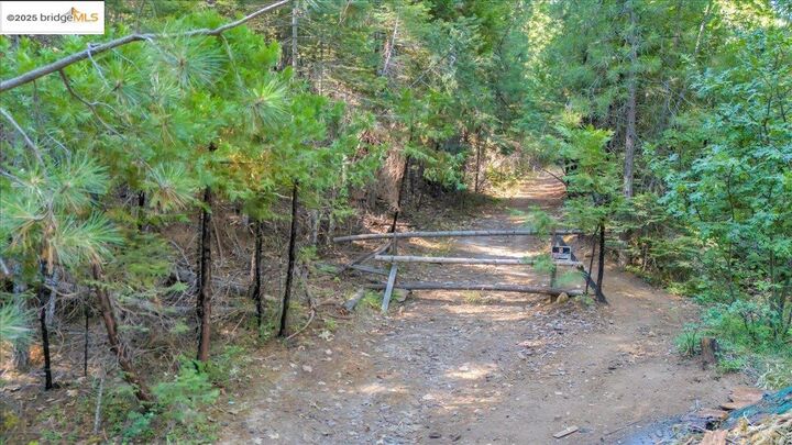 Property Photo: 0 Fallen Leaf Ln CA 95383