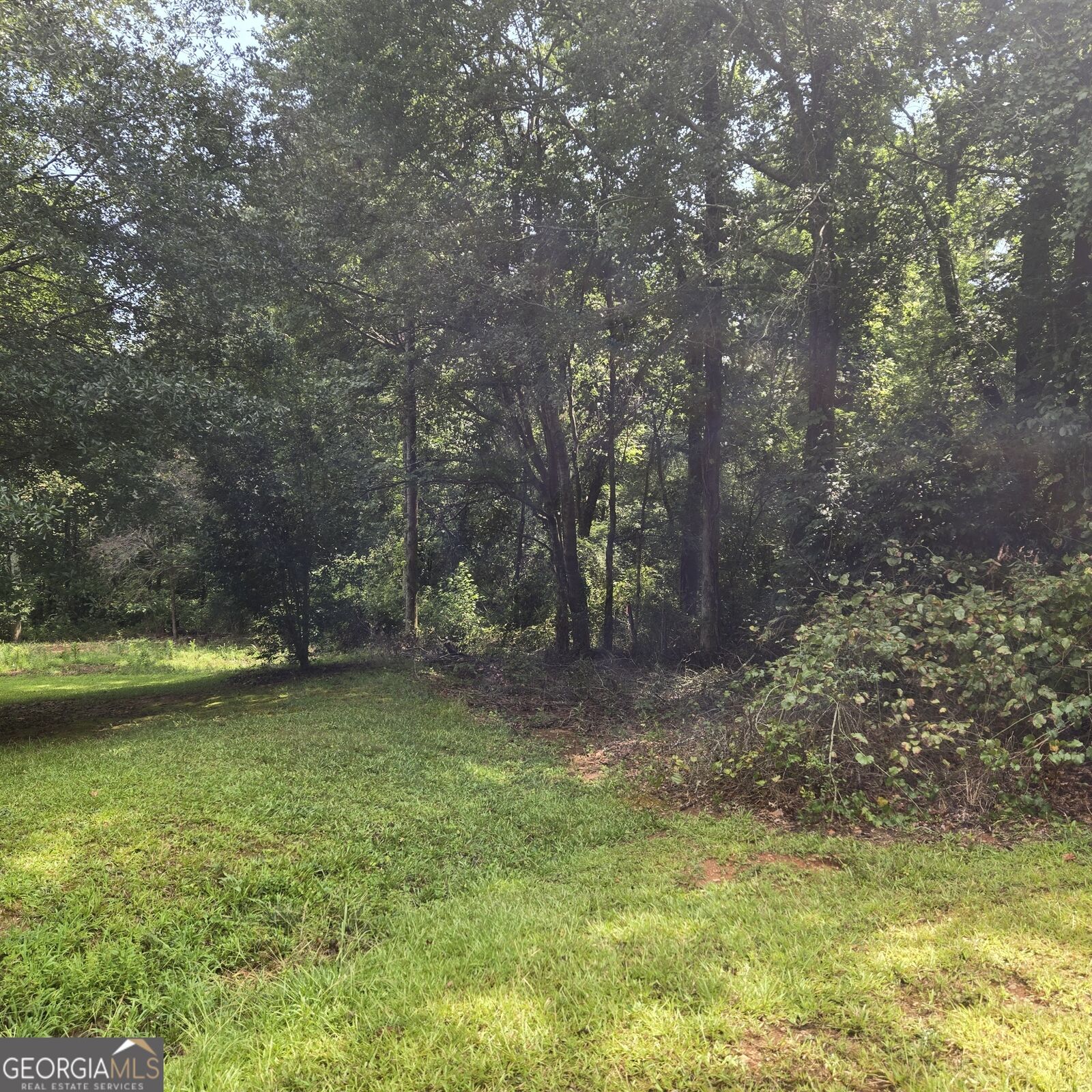 Property Photo:  4933 Patterson Lane  GA 30506 