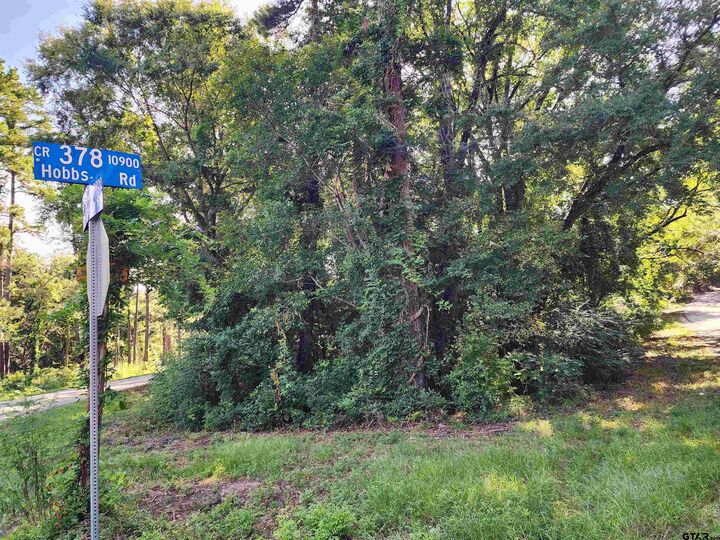 Property Photo: Tbd Cr 378 (Hobbs Rd.) TX 75708