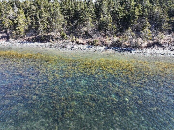 Property Photo:  Lot 1 Hapes Point Road  NS B0J 2R0 