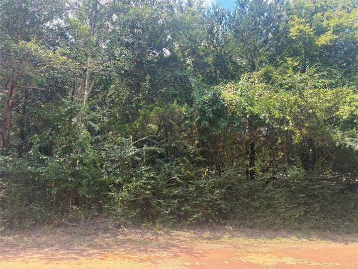 Property Photo: Tbd Timberline Drive TX 75757