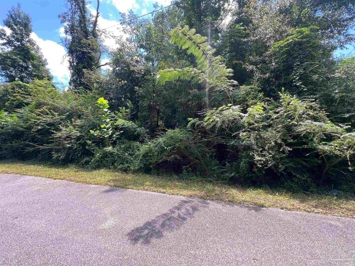 Property Photo: 1100 Blk McKinnonville St FL 32577