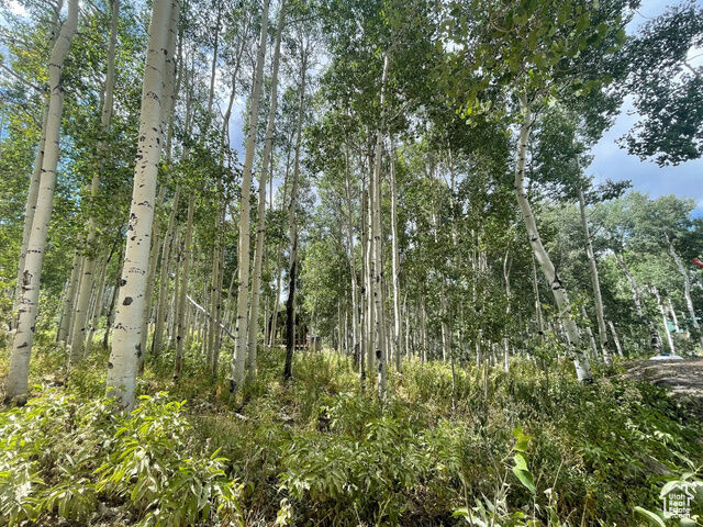 Property Photo:  11485 Violet Way 1845  UT 84032 