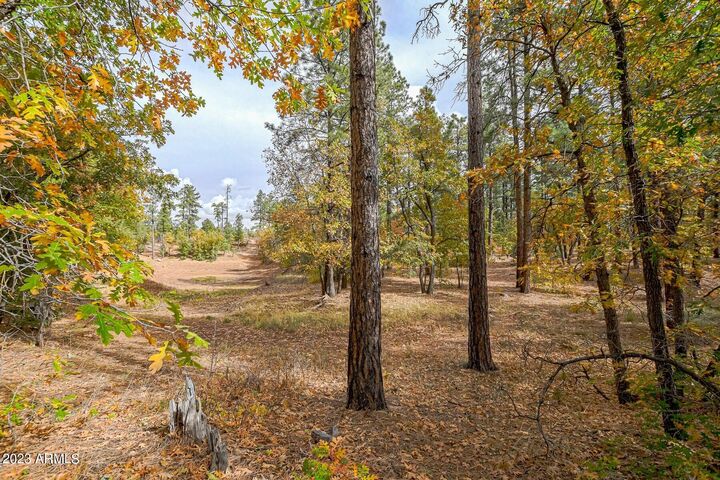 Property Photo:  0 W Deuce Of Clubs -- 6  AZ 85901 