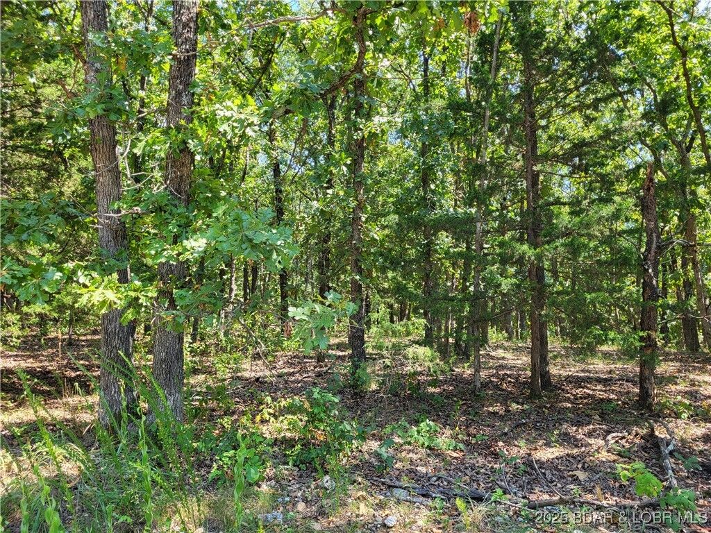 Property Photo:  Trinchera Road 3944 &Amp 3945  MO 65326 