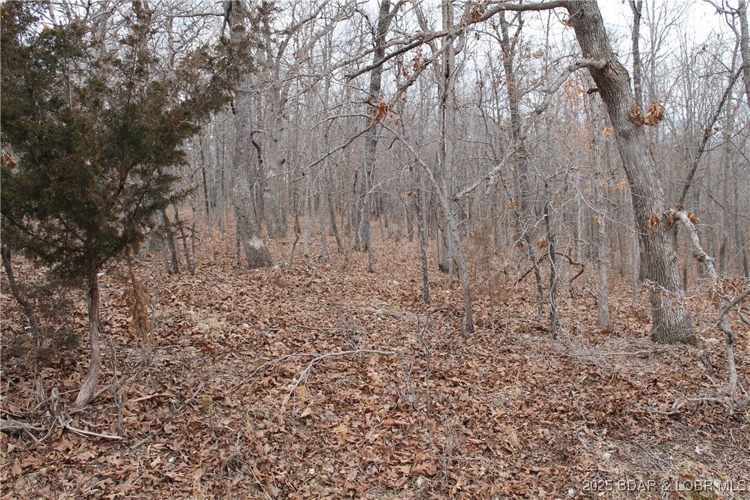 Property Photo: Bogardus Road 2677 MO 65326