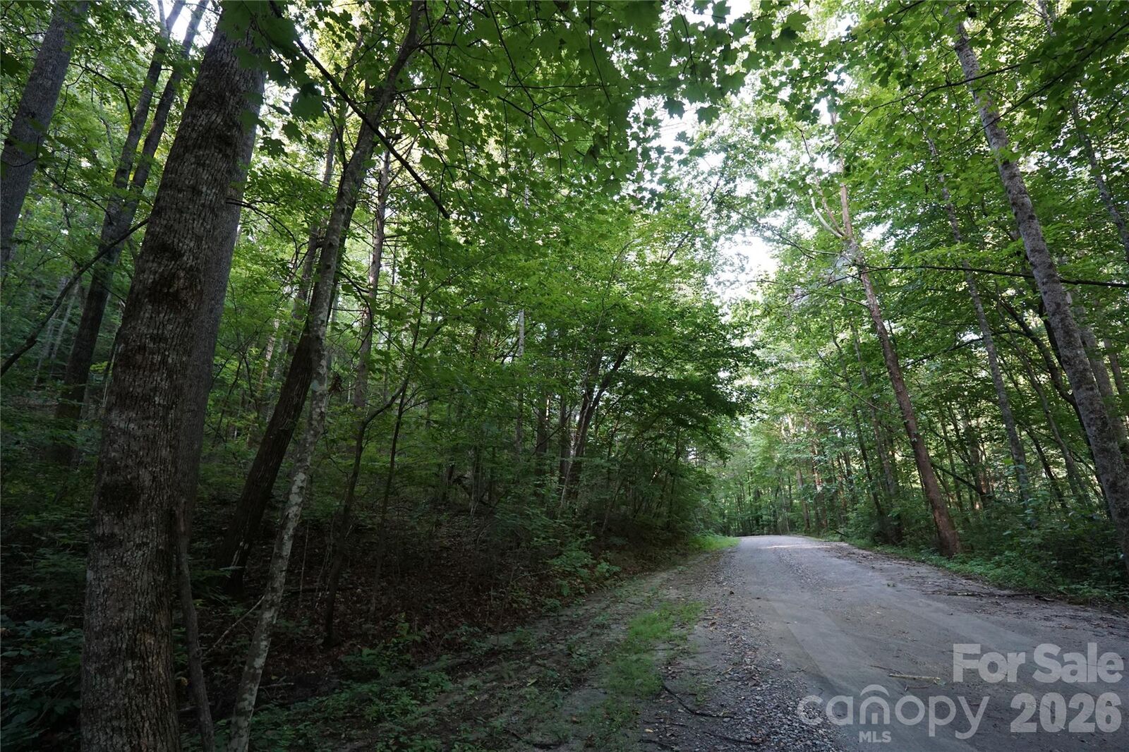 Property Photo:  0 S Poplar Drive 162  NC 28746 