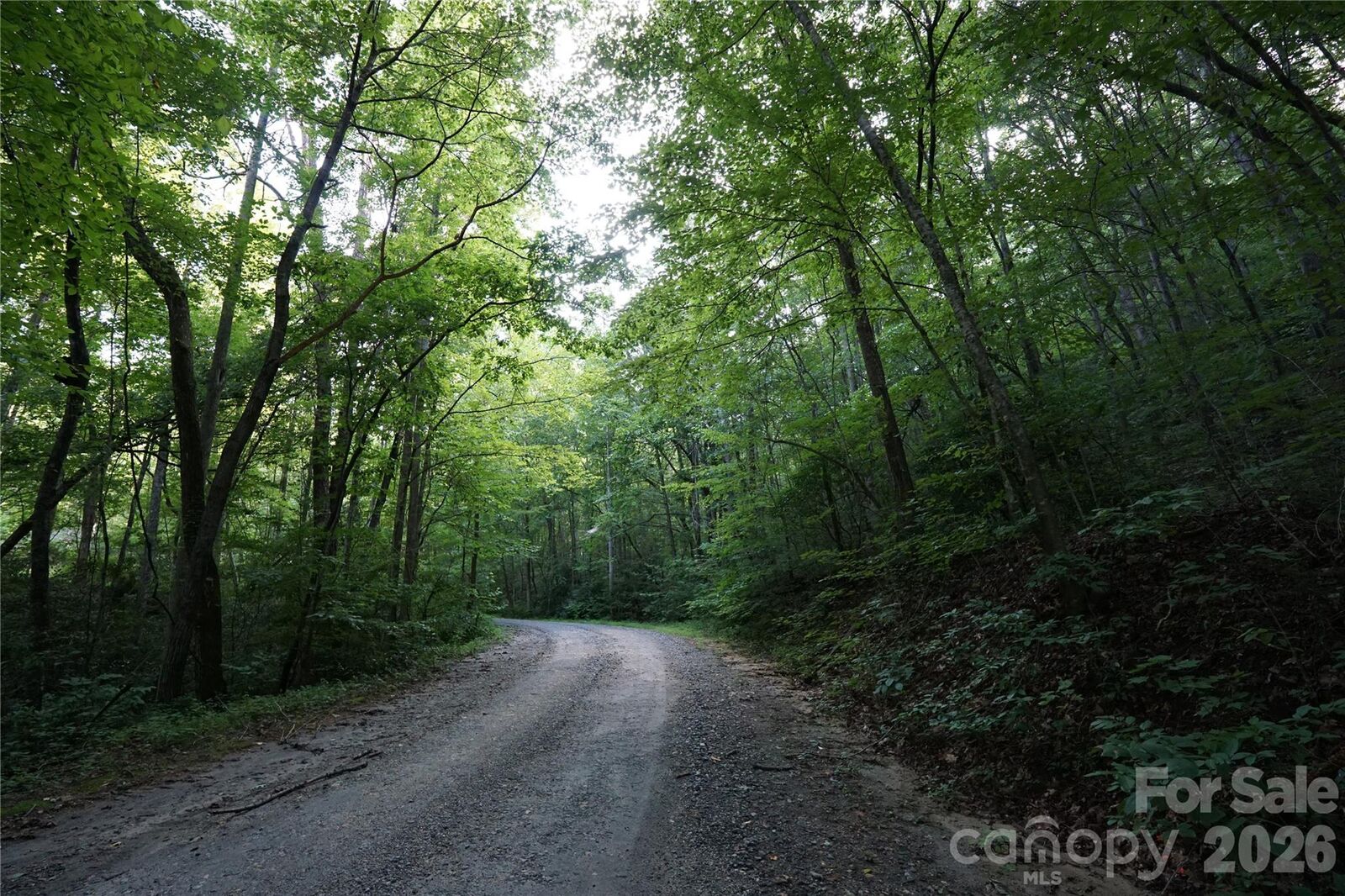 Property Photo:  0 S Poplar Drive 162  NC 28746 
