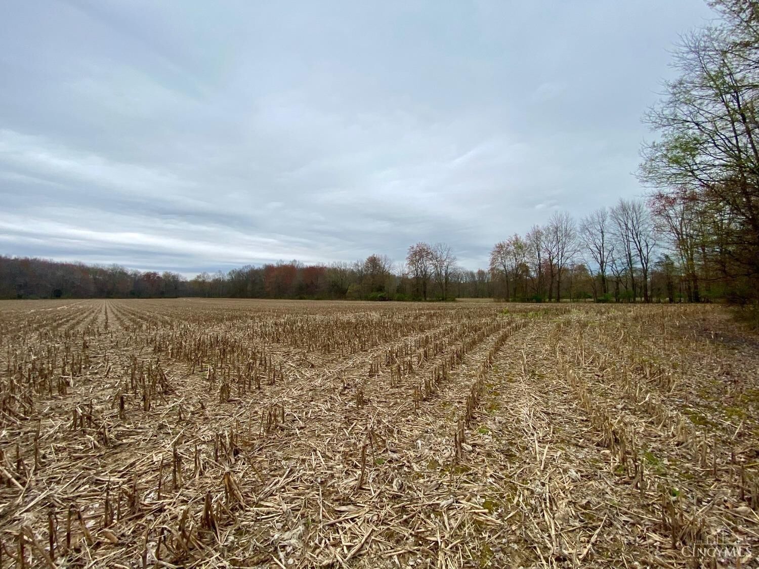 Property Photo: 12 Moore Road OH 45106