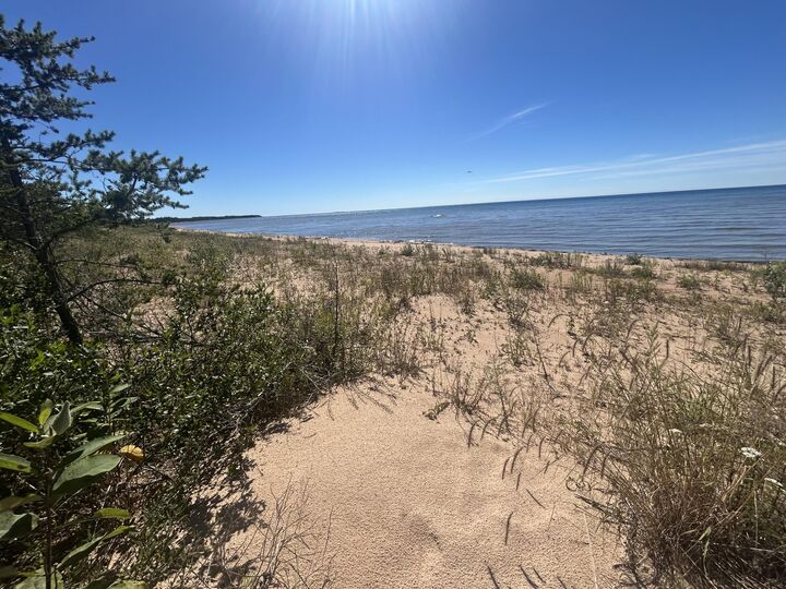 Property Photo:  Lot 42 West Beach Rd  MI 49762 