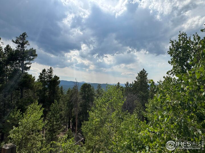 Property Photo:  450 Wedgwood Rd  CO 80422 