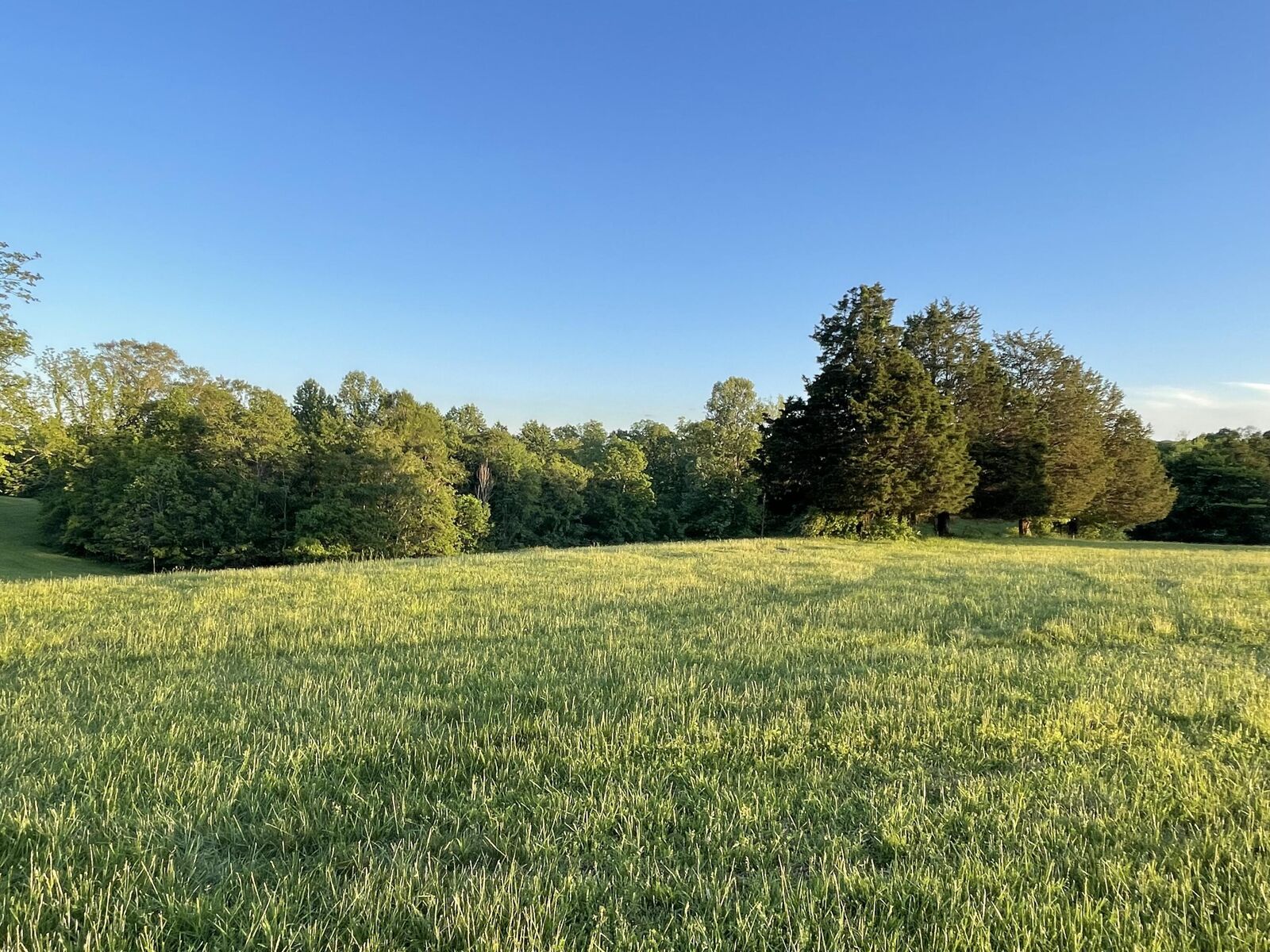 Property Photo:  Lot 24 Parks Ridge  KY 42642 