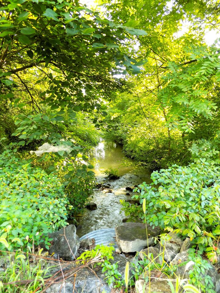Property Photo: 1007 Highland Meadows Road TN 37760