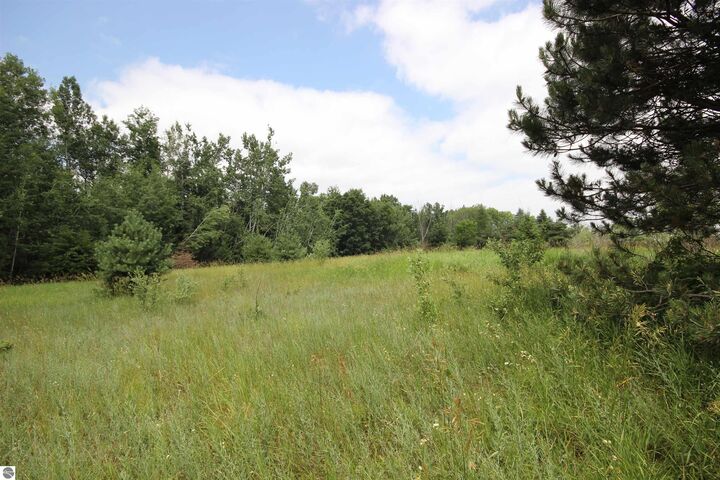 Property Photo: 2624 Hartman Road MI 49685