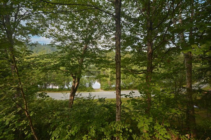 Property Photo:  4 Bay Tree Lane  NH 03753 