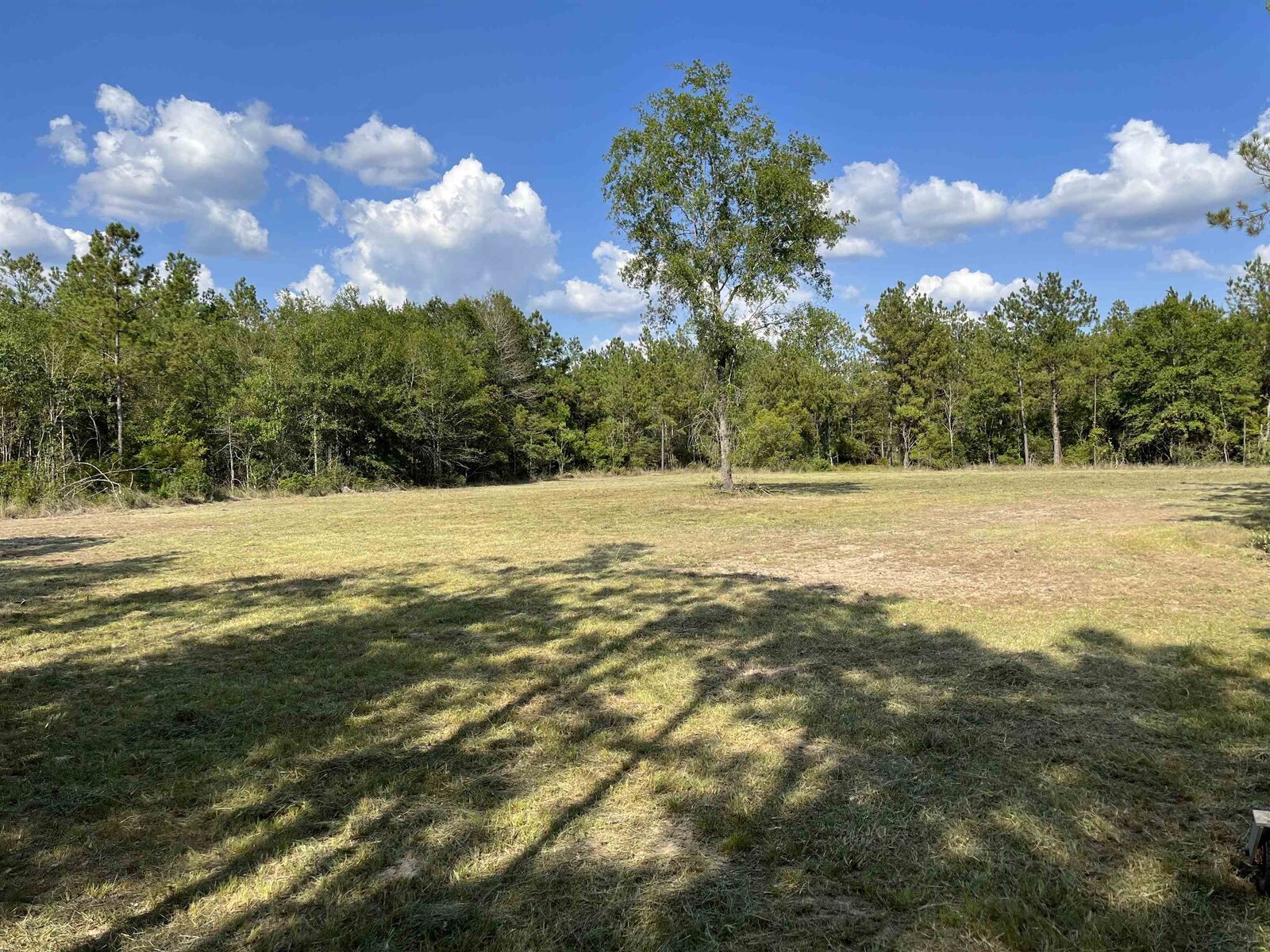 Property Photo:  1655 Cr 716  TX 77612 