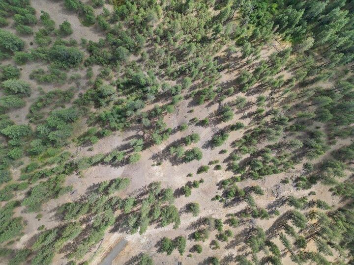 Property Photo:  Nka Lower Weaver Way Lot 4 Of Lot 7  WA 99006 