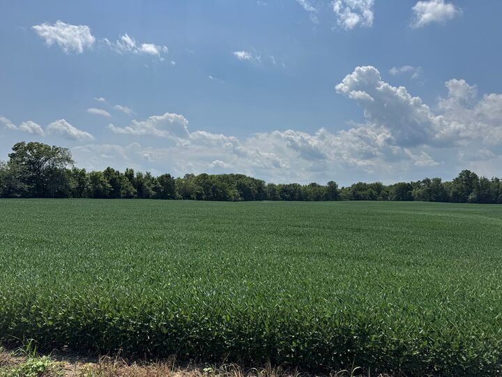 Property Photo:  Clarksburg Pike  OH 43145 