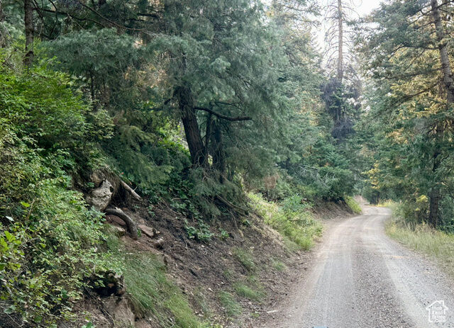Property Photo: 39 Pine Creek Rd A39 UT 84647