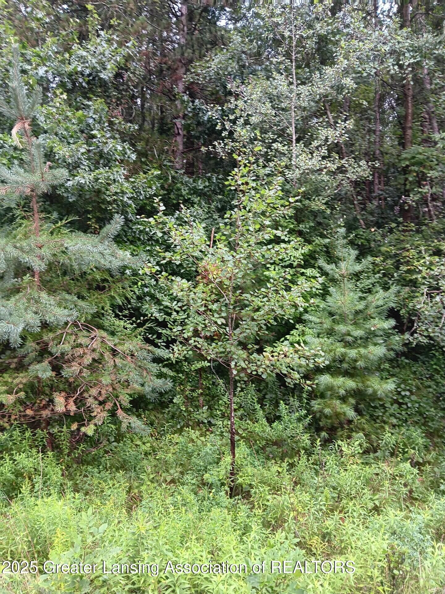 Property Photo:  24 Bennington Greens  MI 48867 