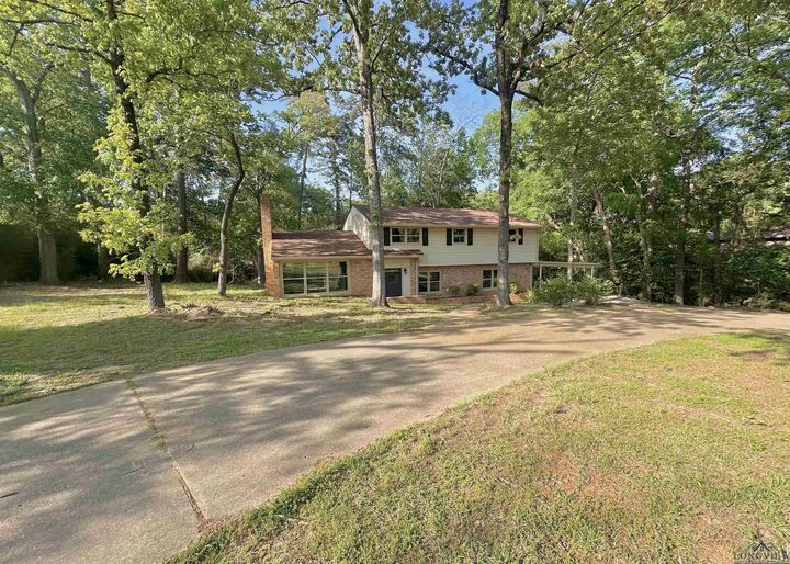 3517 Danville Drive  Kilgore TX 75662 photo