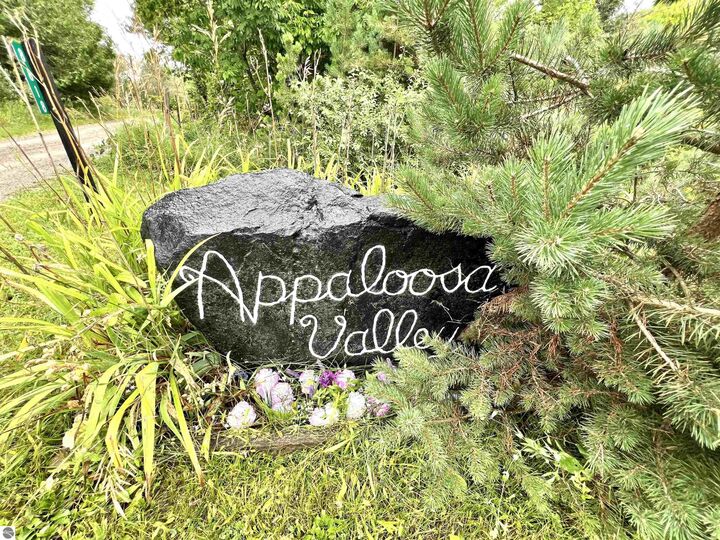 Property Photo:  8818 French Road  MI 49707 
