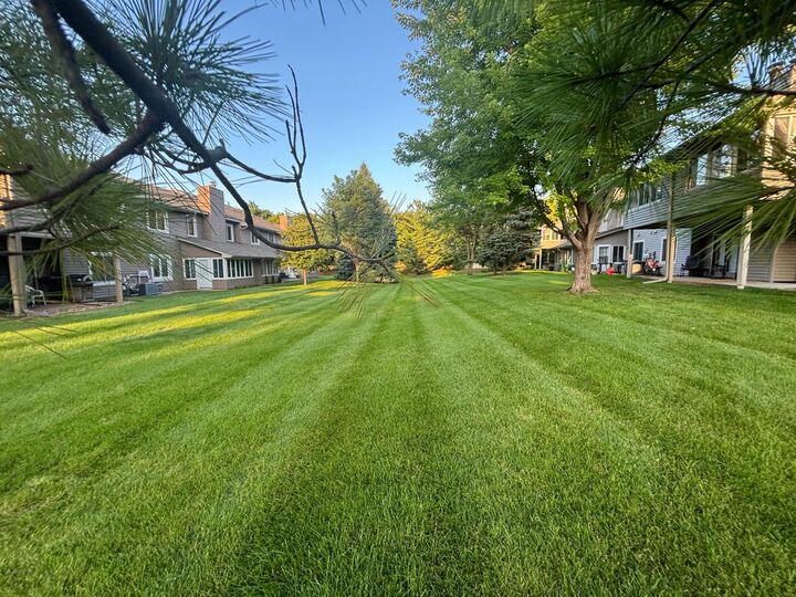 Property Photo:  8704 Cottonwood Lane N  MN 55369 