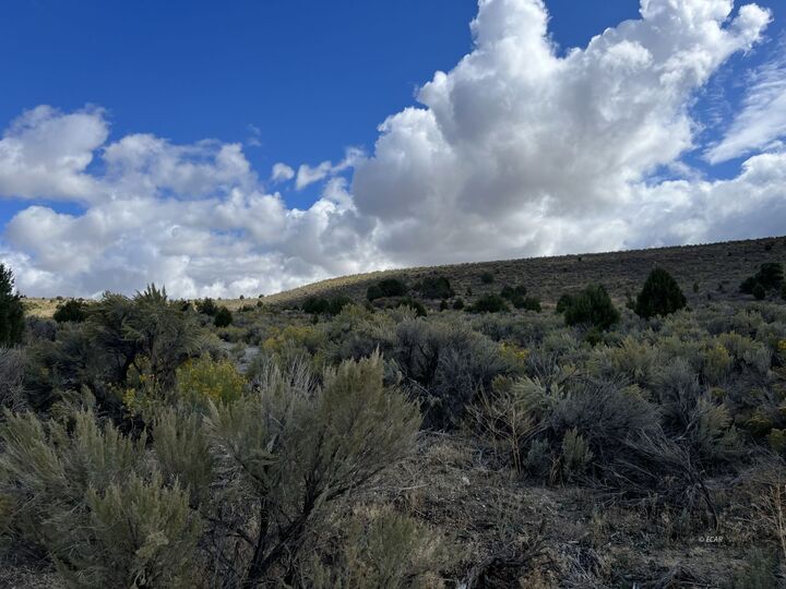 Property Photo: 412 Murdoch Way NV 89801