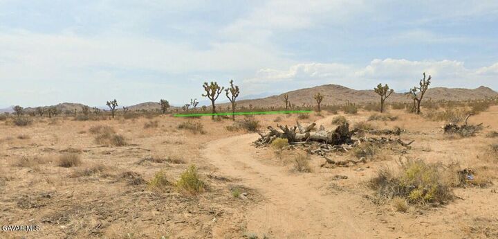 Property Photo:  Vic 196th St E And Ave J4  CA 93535 