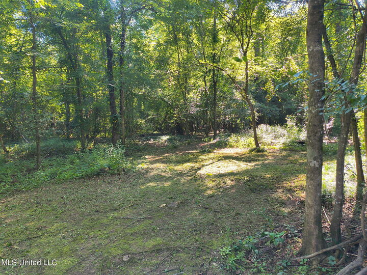 0 Carter Lake Drive  Lucedale MS 39452 photo