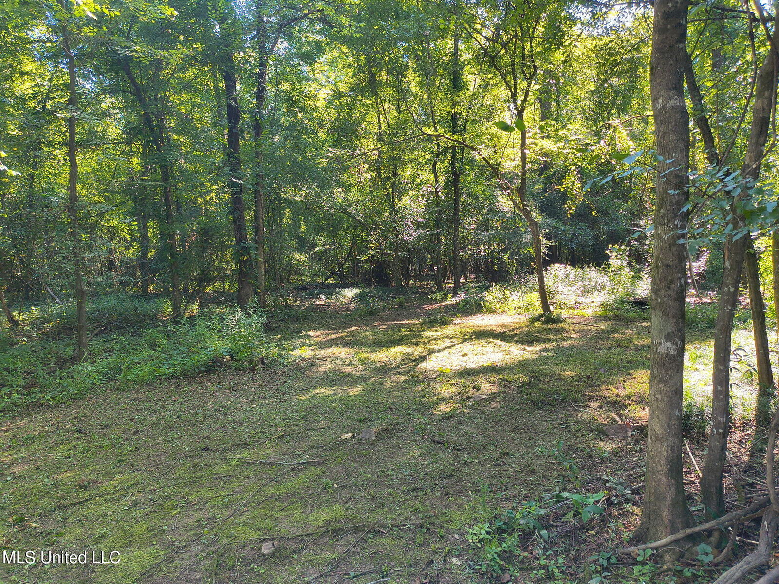 Property Photo: 0 Carter Lake Drive MS 39452