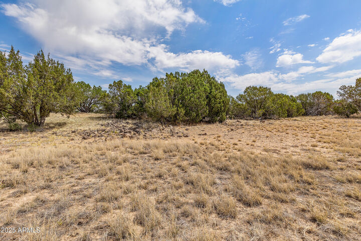 Property Photo:  8359 N 8 Mile Boulevard 6  AZ 86046 